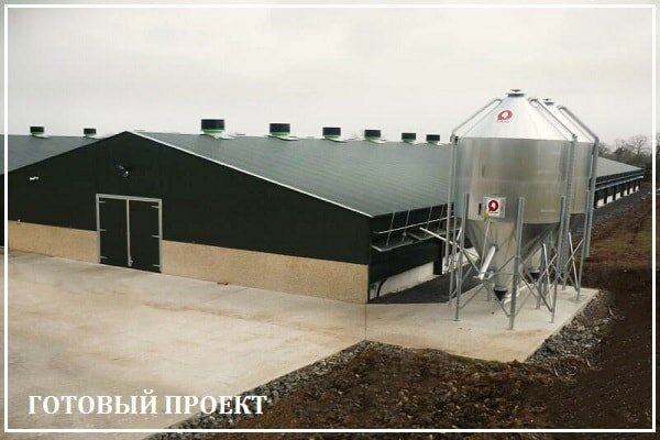 Этапы возведения птицефабрики от завода ВелесТент-прс